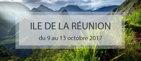 header_JNE-2017-La Réunion